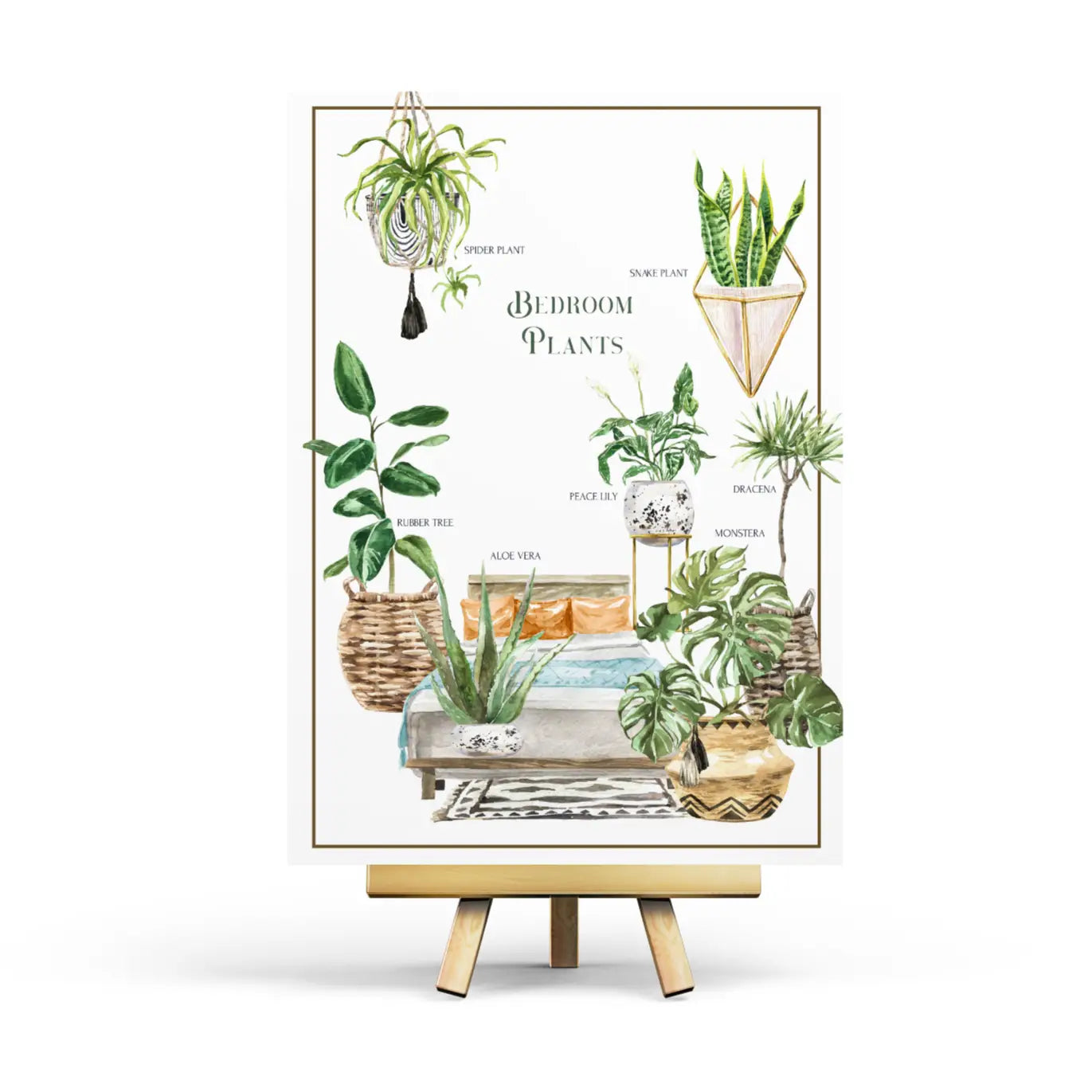 Bedroom Plants Postcard