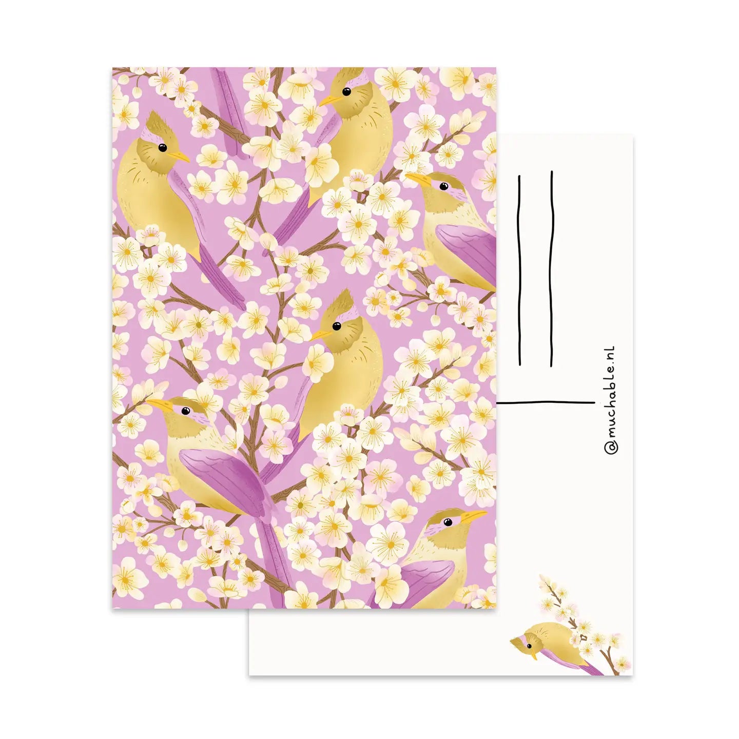 Birds with Flowers Postcard
