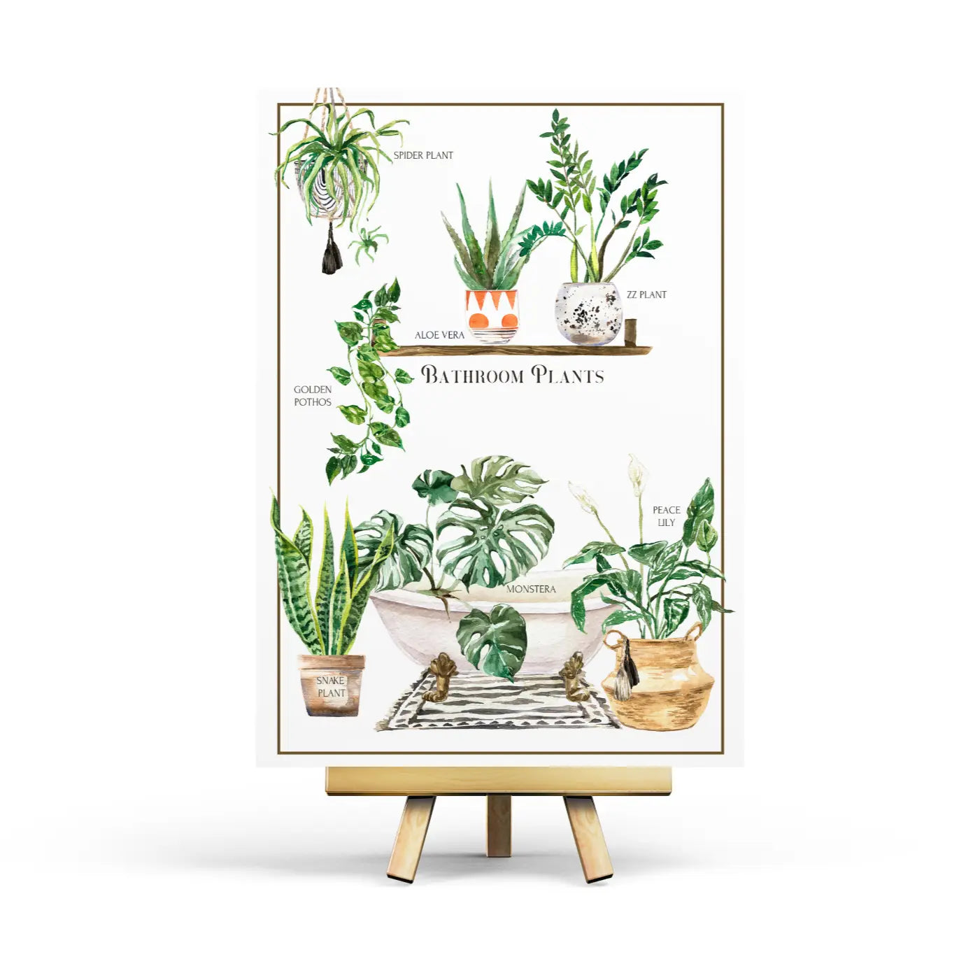 Bathroom Plants Postcard
