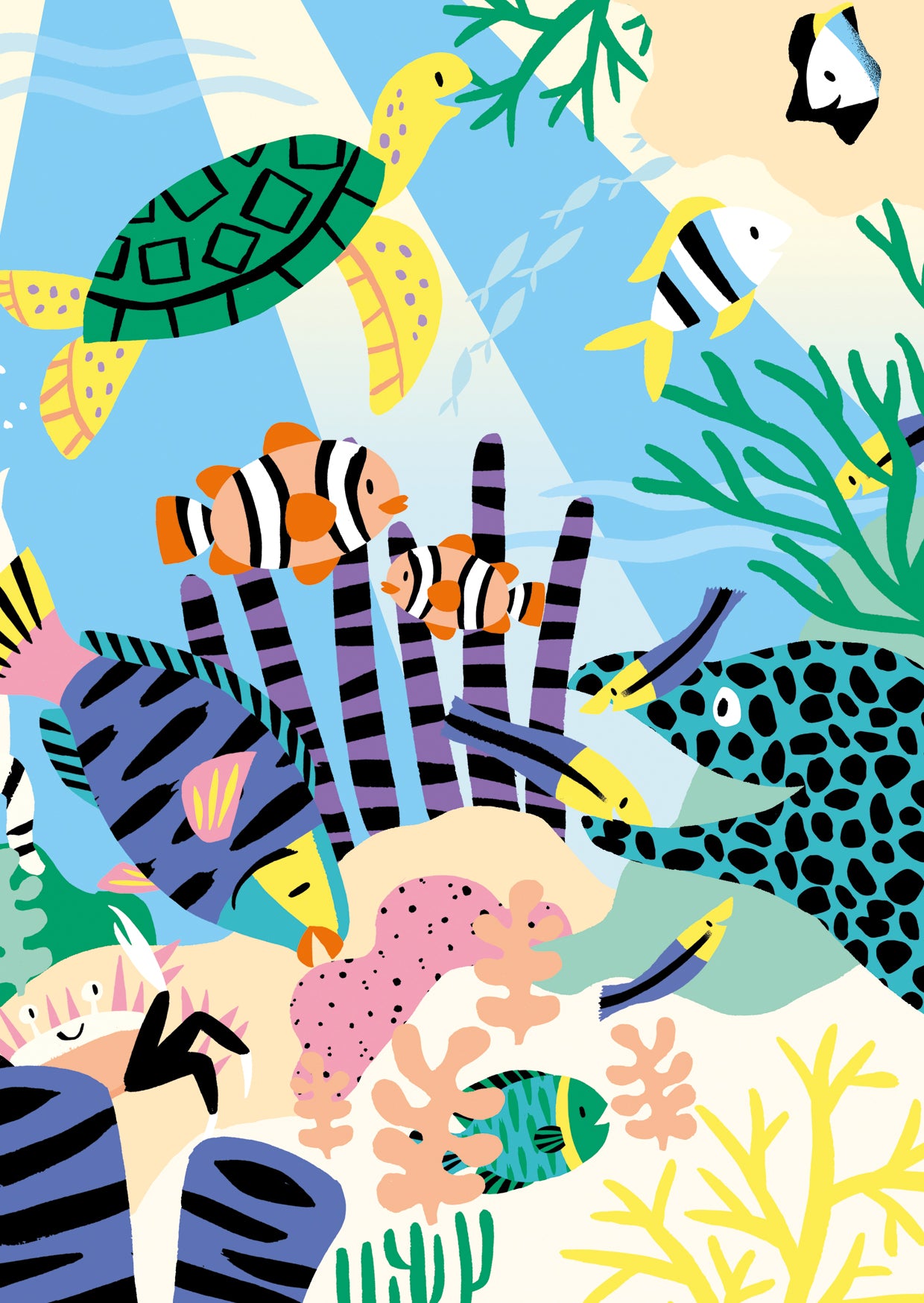 Sea Turtle & Coral Postcard