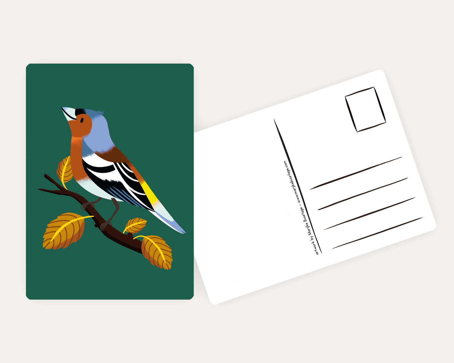 Finch Postcard