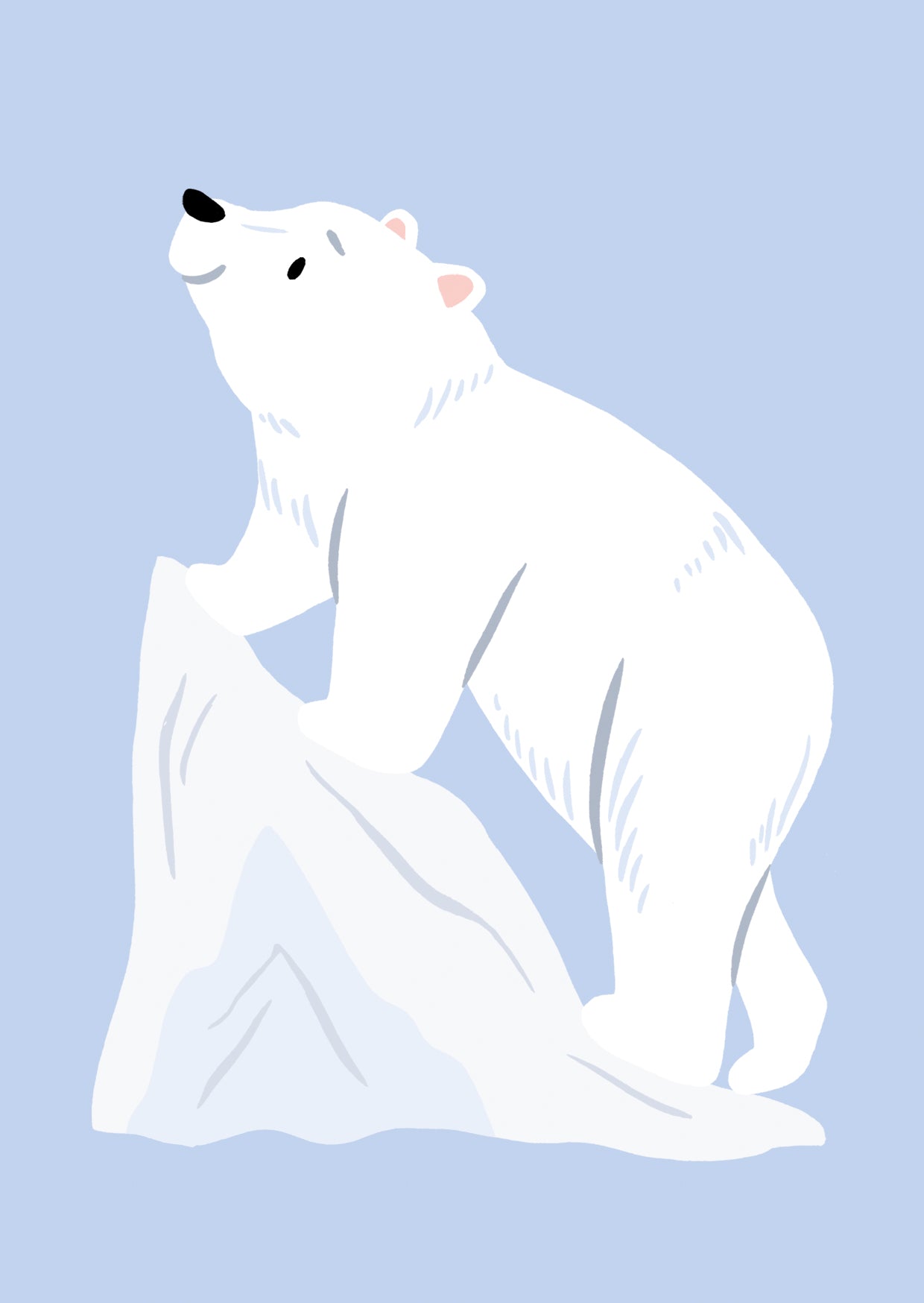 Polar Bear Postcard