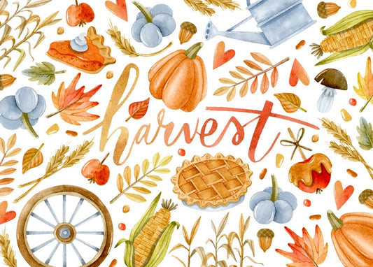 Harvest Postcard