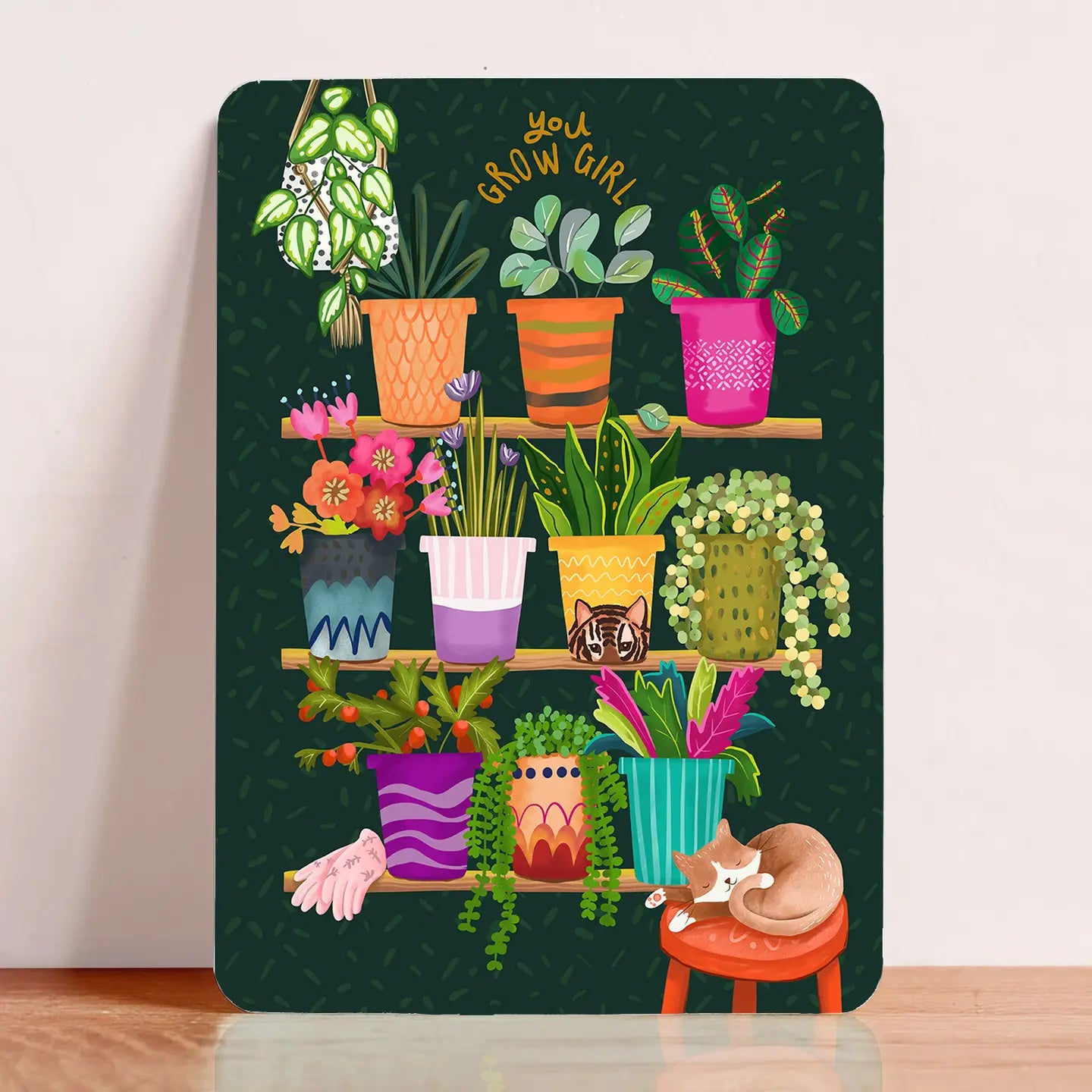 Plants and Napping Cat Postcard