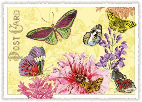 Edition Tausendschön Postcard PK713