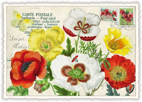 Edition Tausendschön Postcard PK797