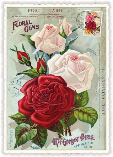 Edition Tausendschön Postcard PK893