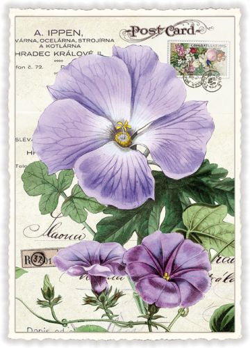 Edition Tausendschön Postcard PK895