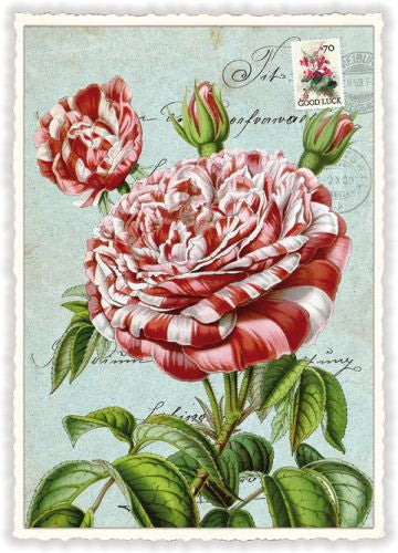 Edition Tausendschön Postcard PK897