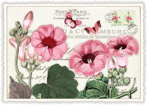 Edition Tausendschön Postcard PK898