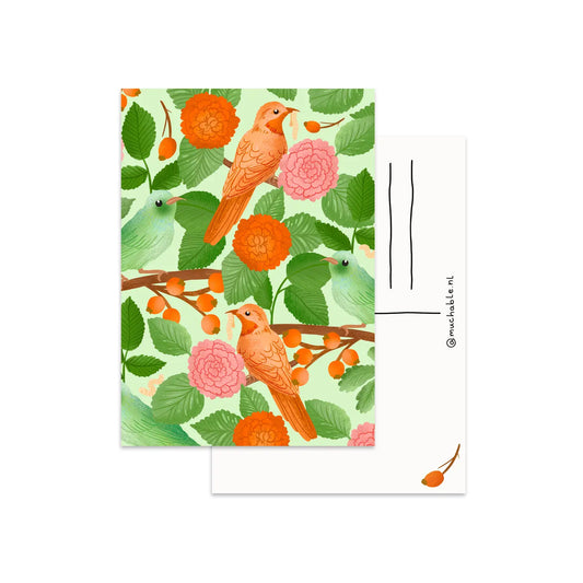 Birds with Orange Blossoms Postcard