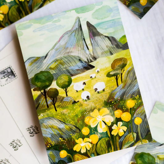 Sheep Postcard