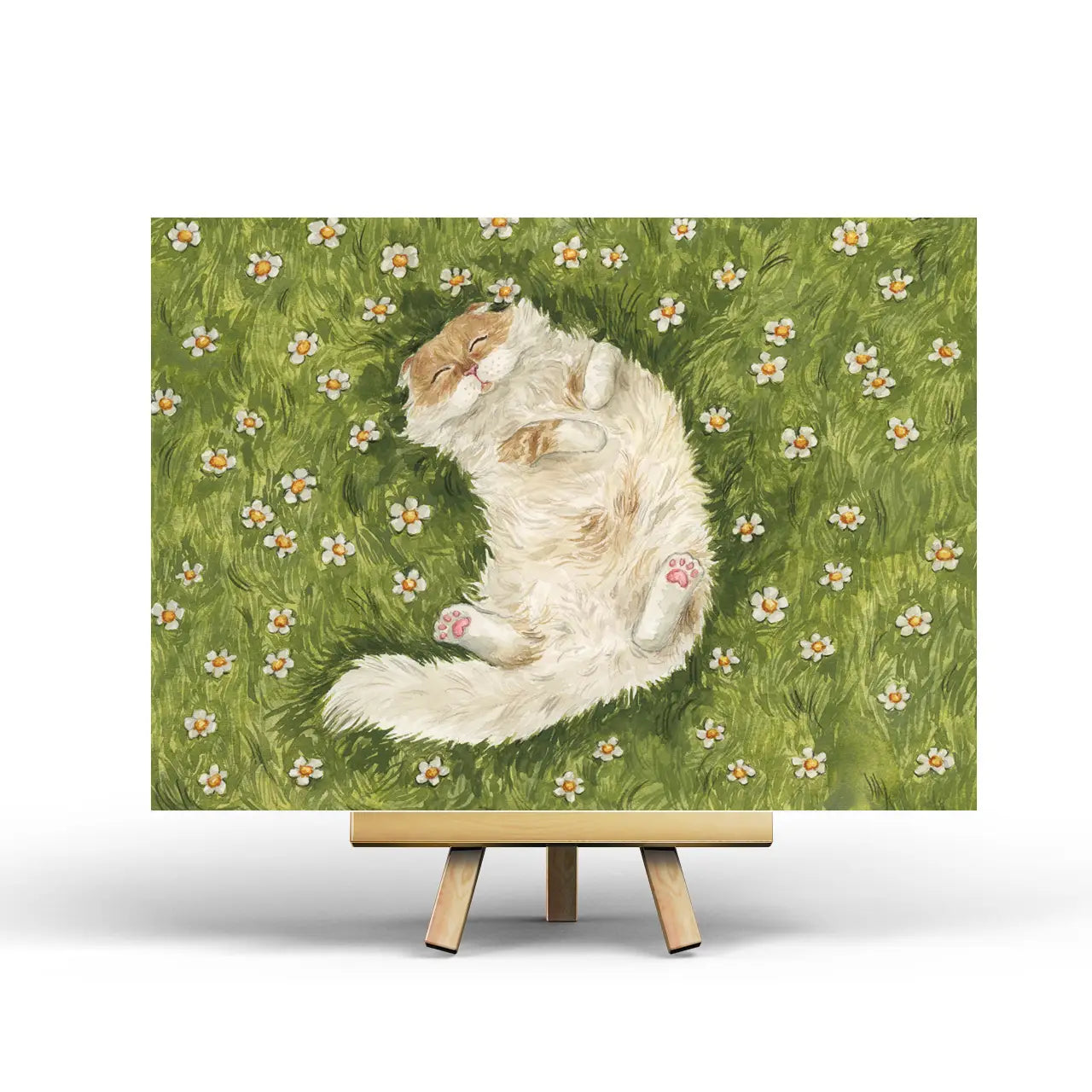Summer Cat Postcard