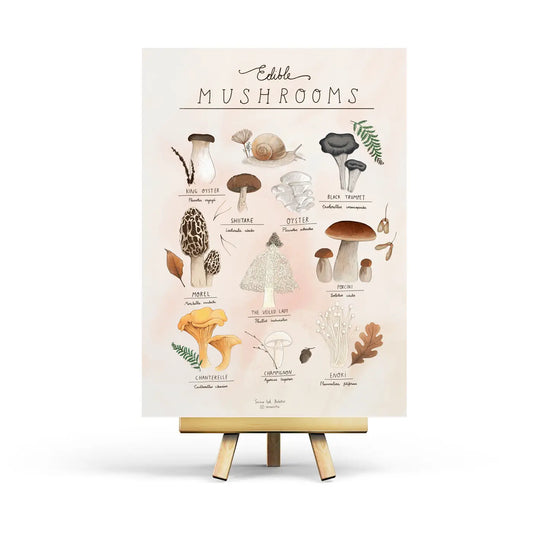 Edible Mushroom Postcard