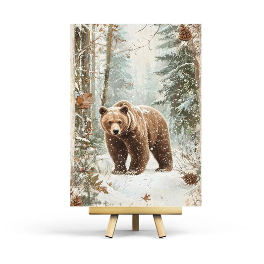 Bear Postcard
