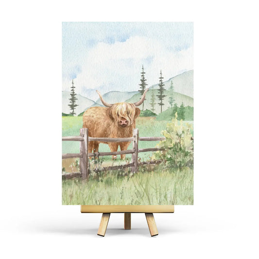 Highland Cow Postcard