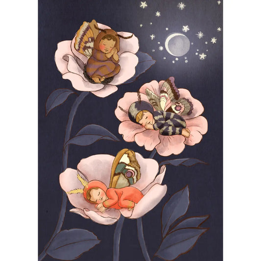 Belle & Boo Postcard "Moth Babies"