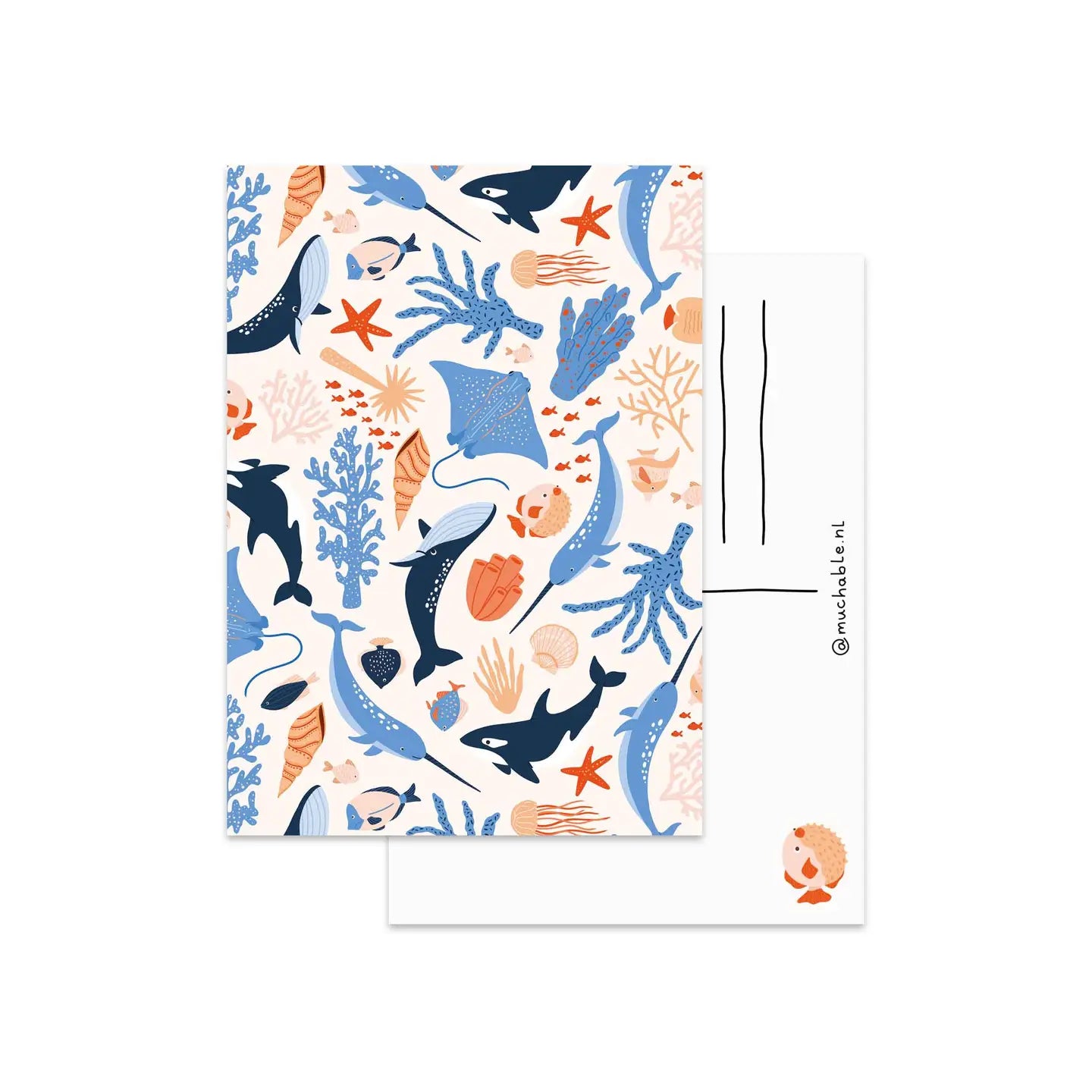Ocean Animals Postcard