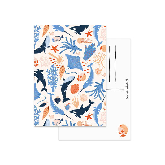 Ocean Animals Postcard