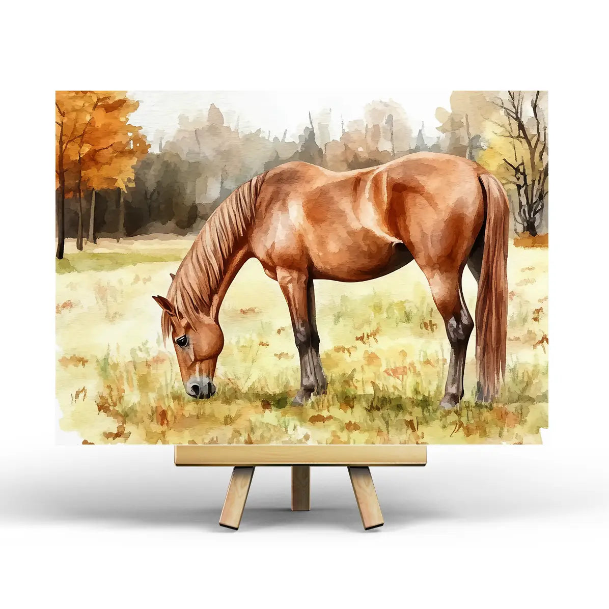 Horse Postcard