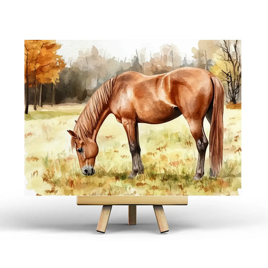 Horse Postcard