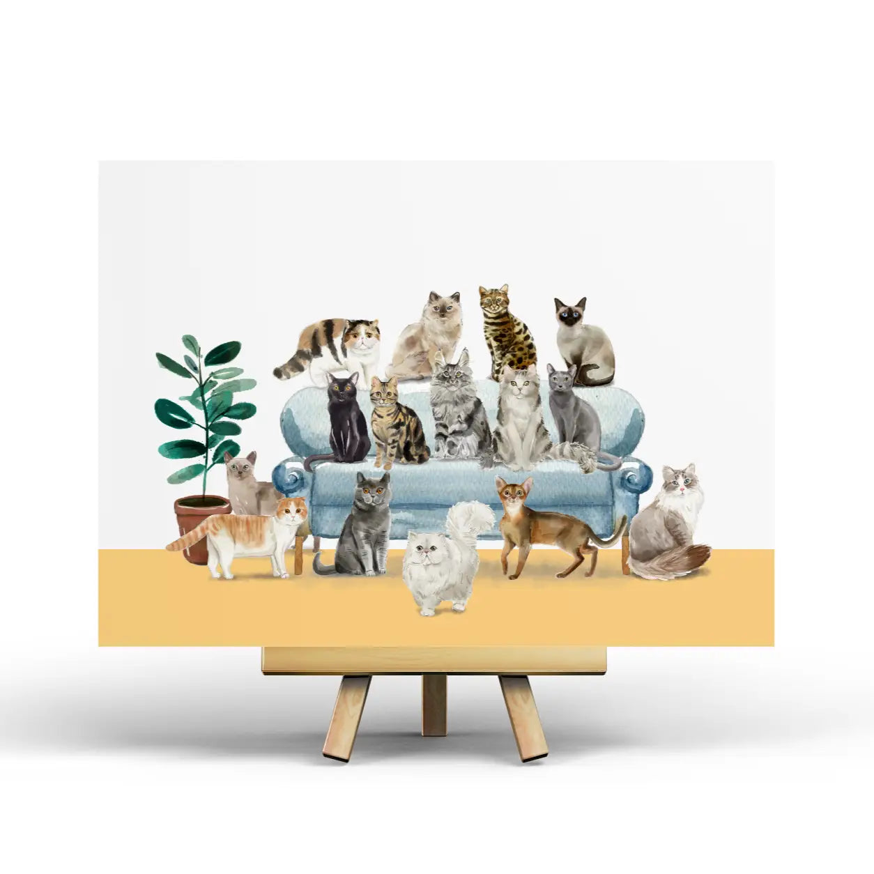 Cats Postcard