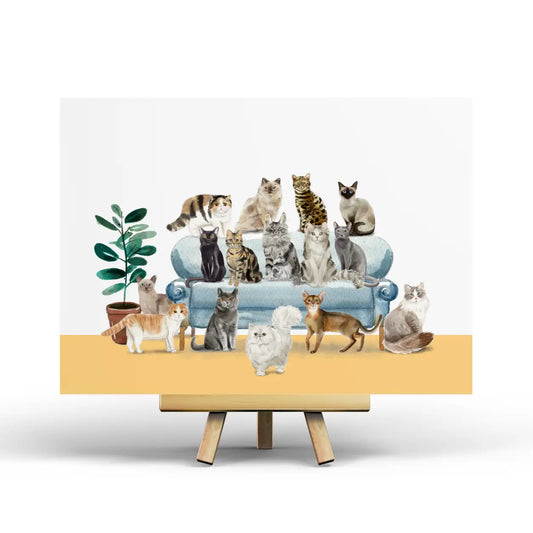 Cats Postcard