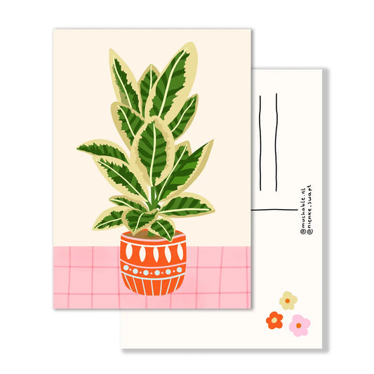 Plant in Orange Vase Postcard