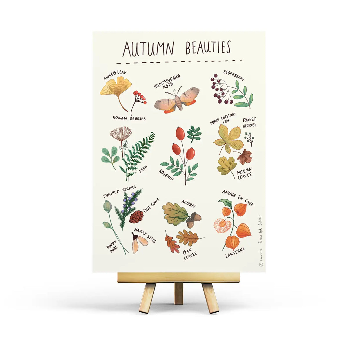 Autumn Beauties Postcard