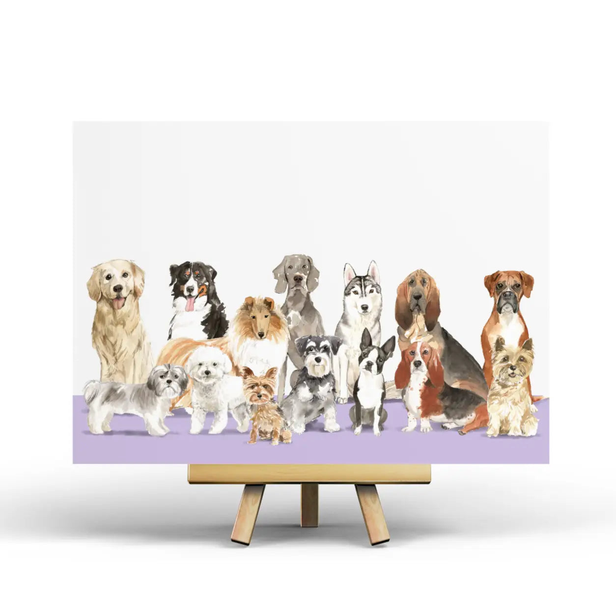 Dogs Postcard