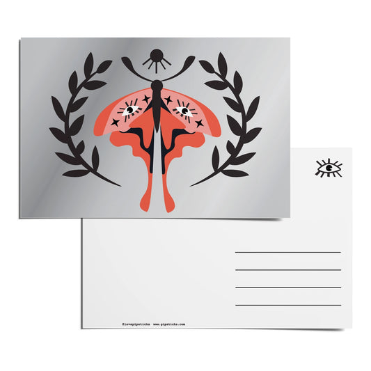 Cosmos Moth Postcard
