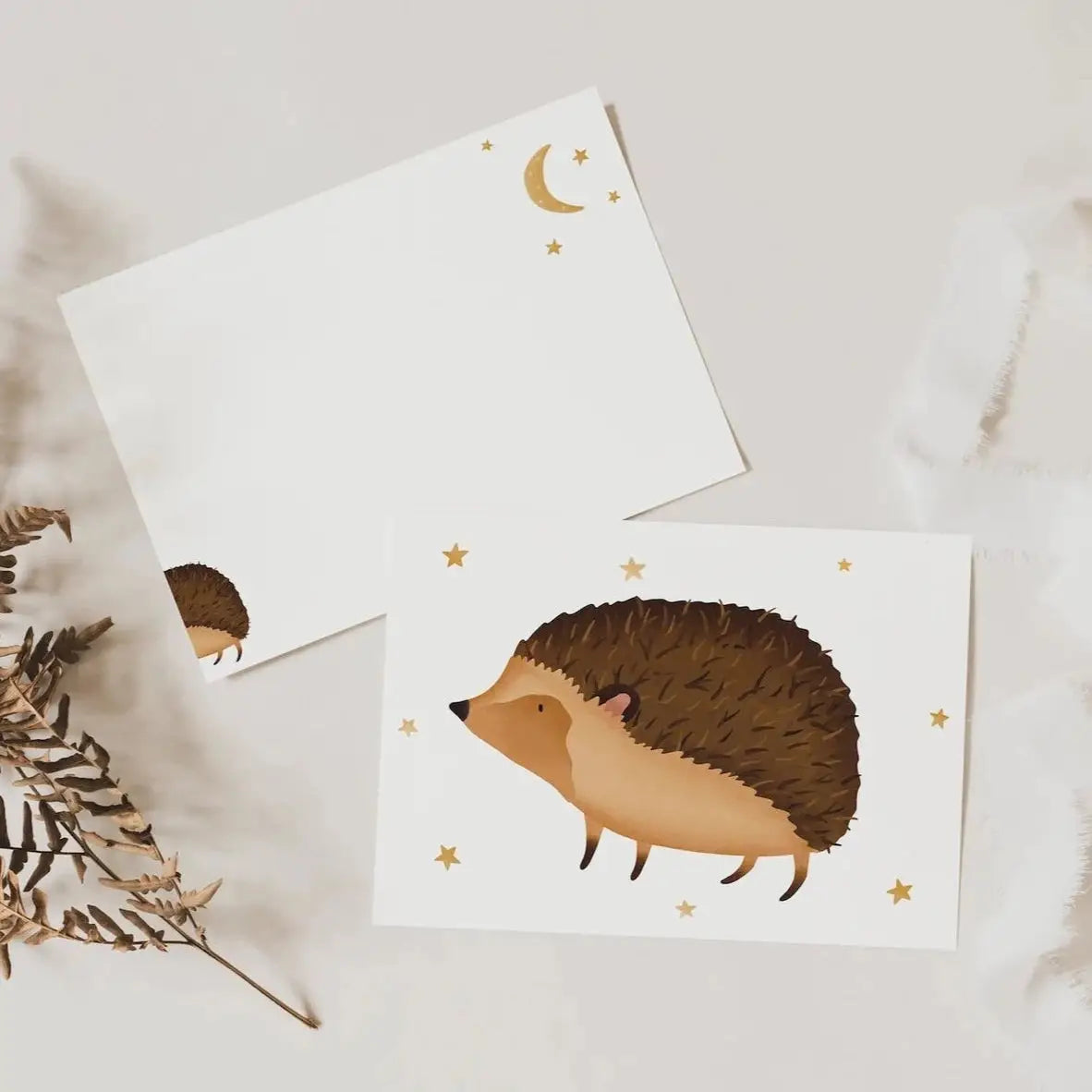 Hedgehog Postcard