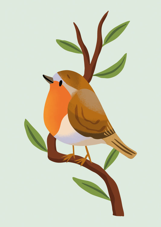 Robin Postcard