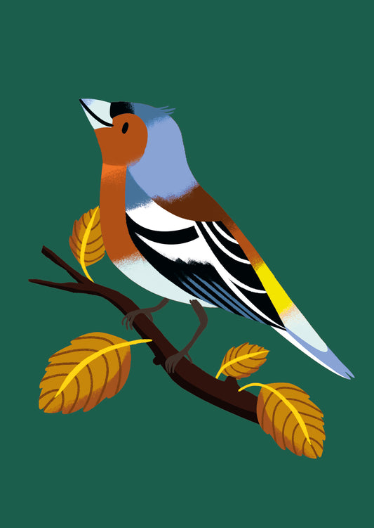 Finch Postcard