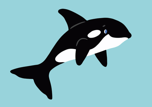 Orca Whale Postcard