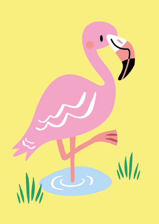 Flamingo Postcard