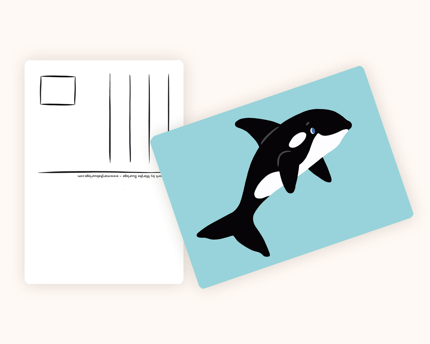Orca Whale Postcard