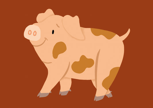 Little Piggy Postcard