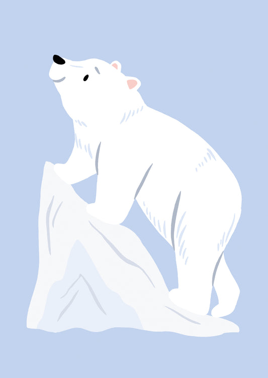 Polar Bear Postcard