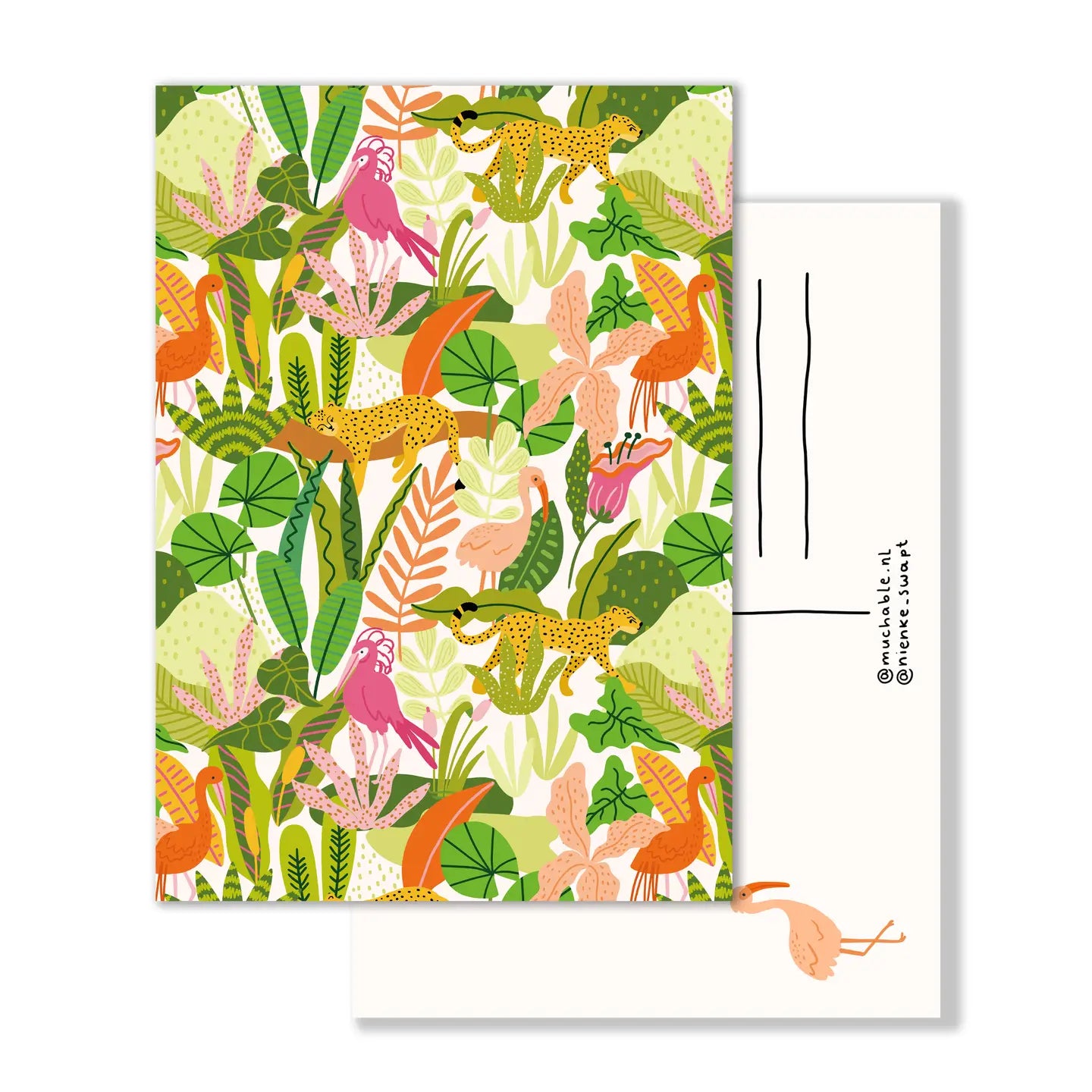 Jungle Postcard