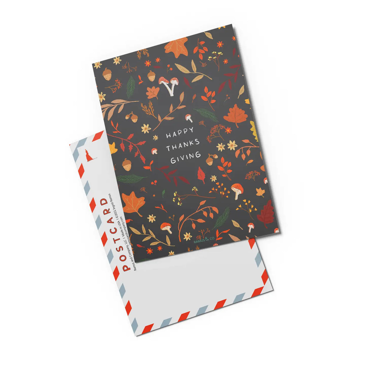 Happy Thanksgiving Postcard