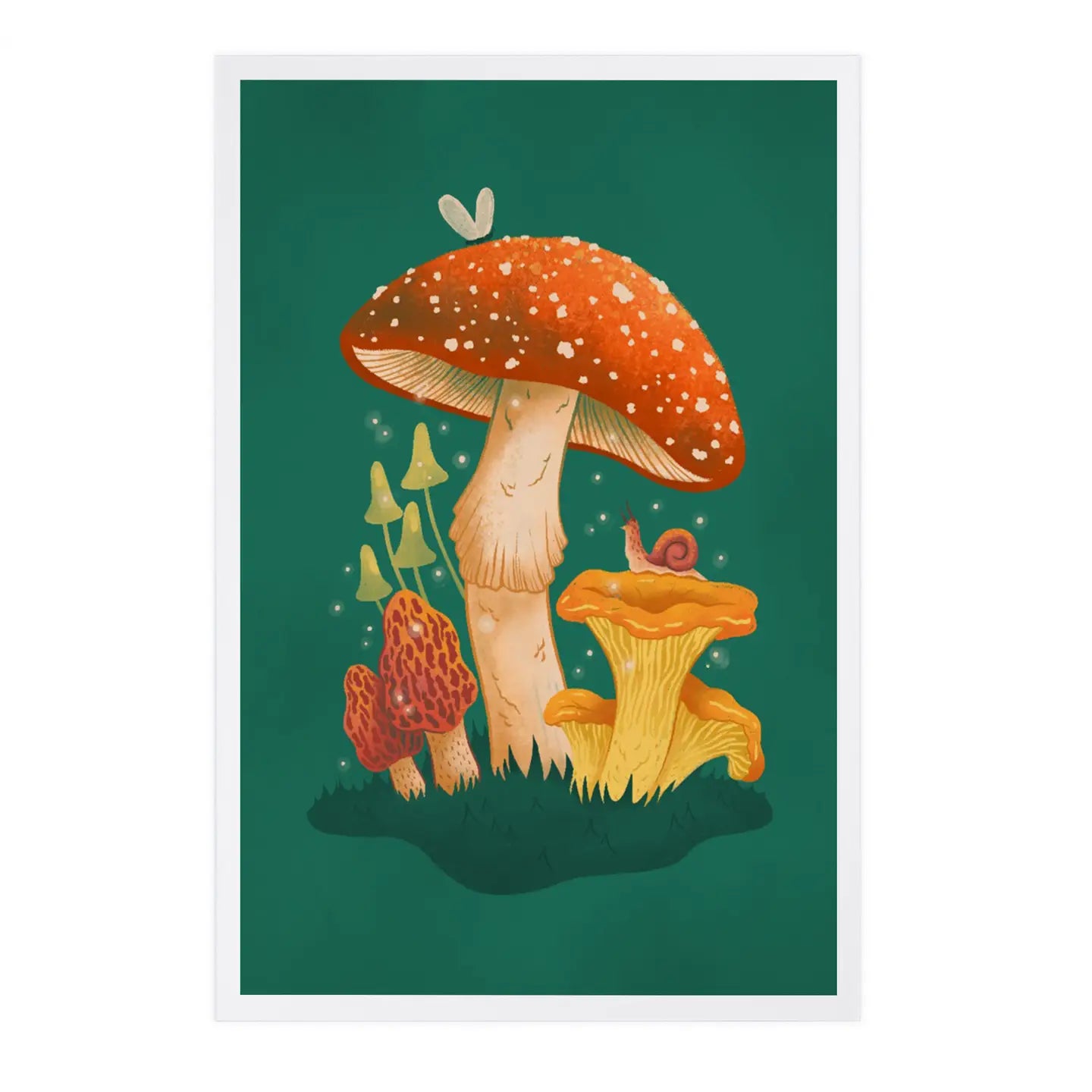 Mushroom Cluster Postcard