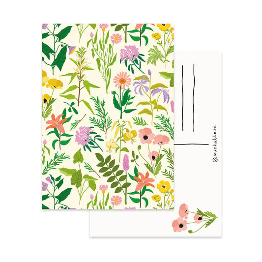 Wildflower Postcard