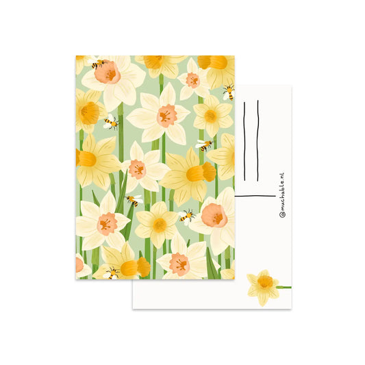 Daffodils Postcard