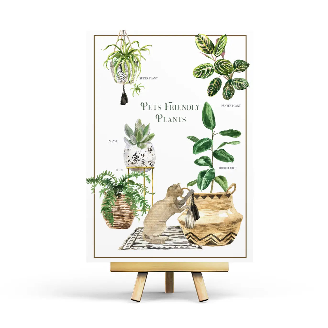 Pet Friendly Plants Postcard