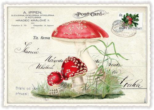 Edition Tausendschön Postcard PK668