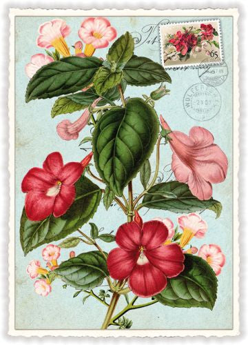Edition Tausendschön Postcard PK890