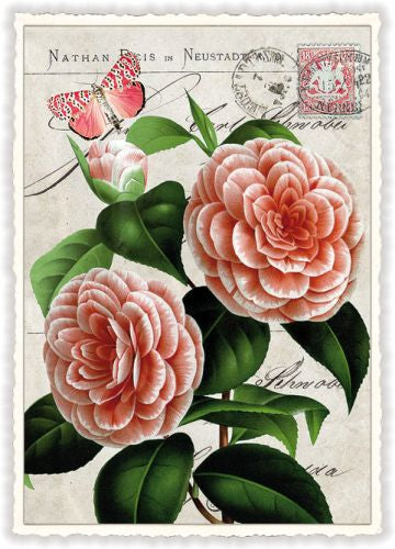 Edition Tausendschön Postcard PK896