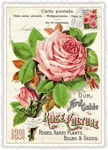 Edition Tausendschön Postcard PK901